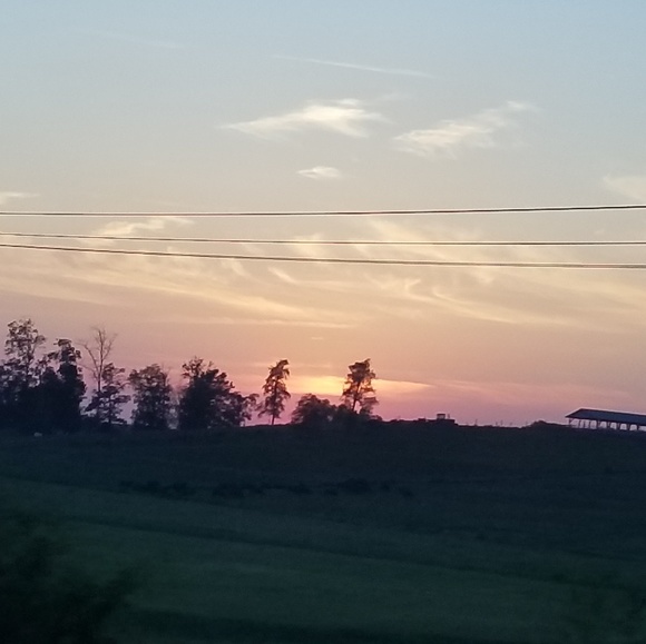 Meet your Posher, Isabella - Picture 1 of 1